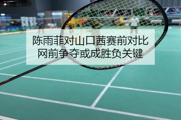 陈雨菲对山口茜赛前对比 网前争夺或成胜负关键